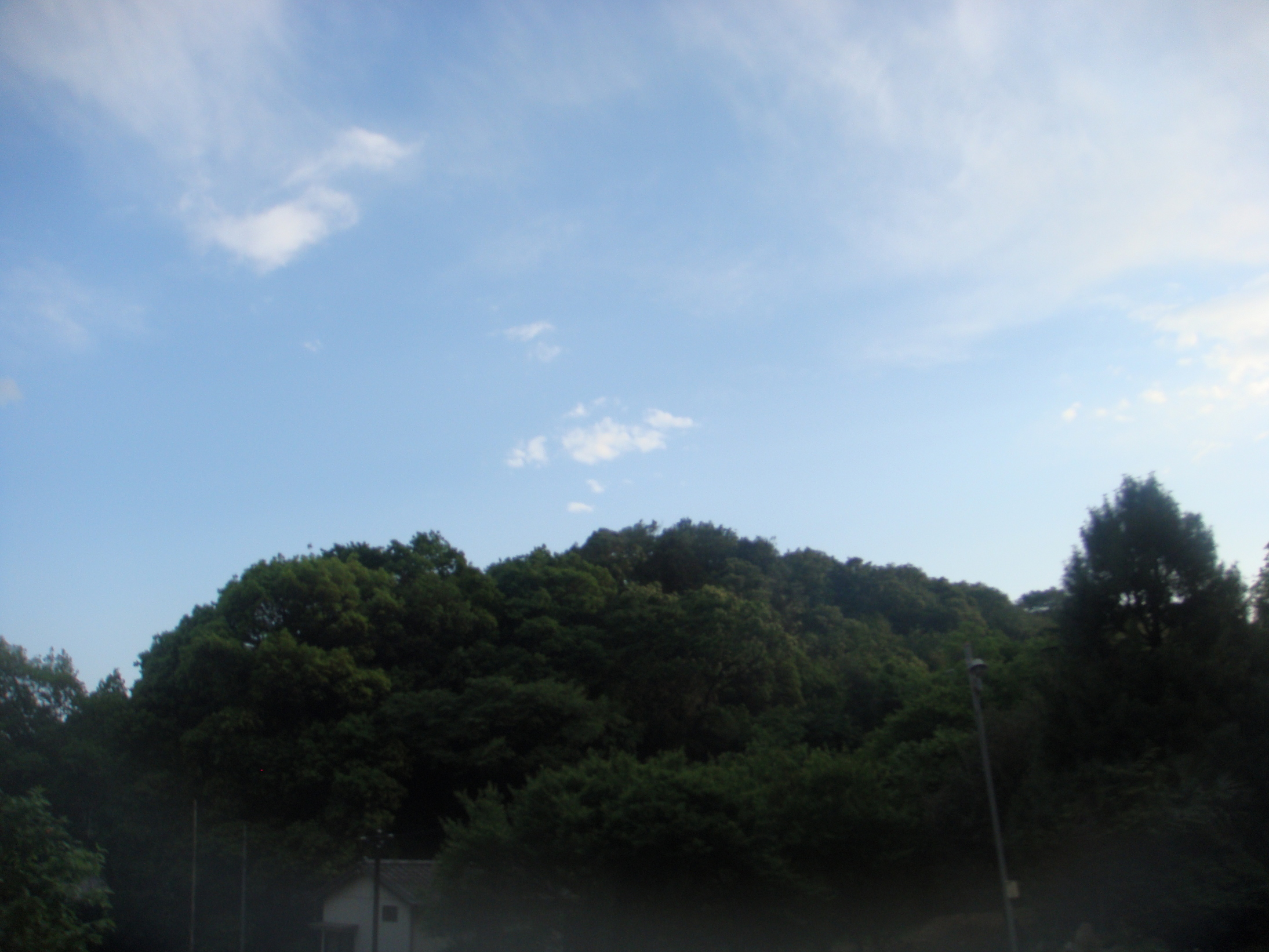 �{���Č����L