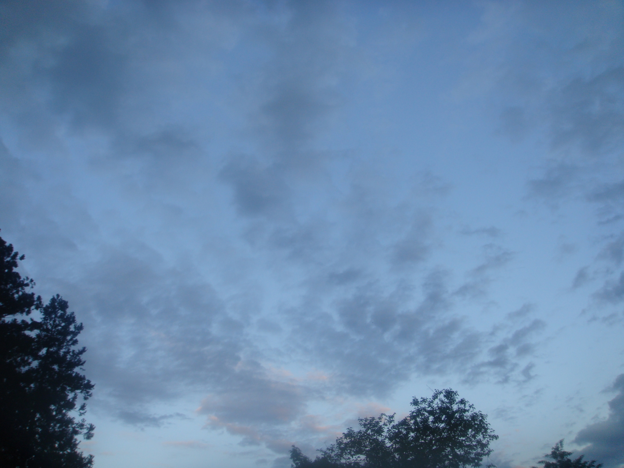 �{���Č����L