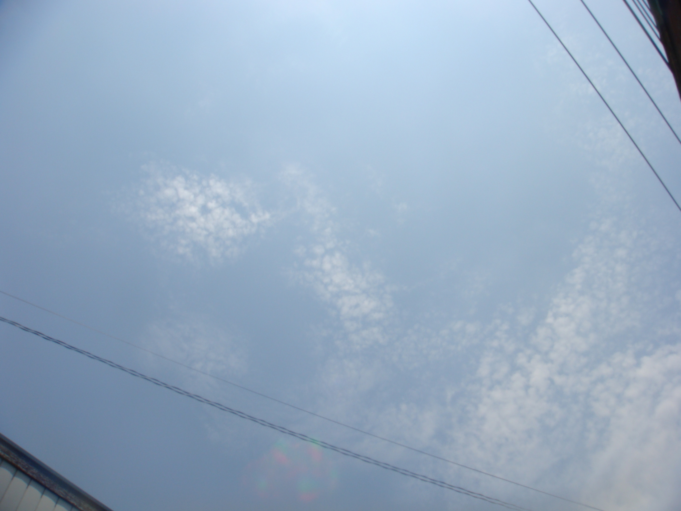 �{���Č����L