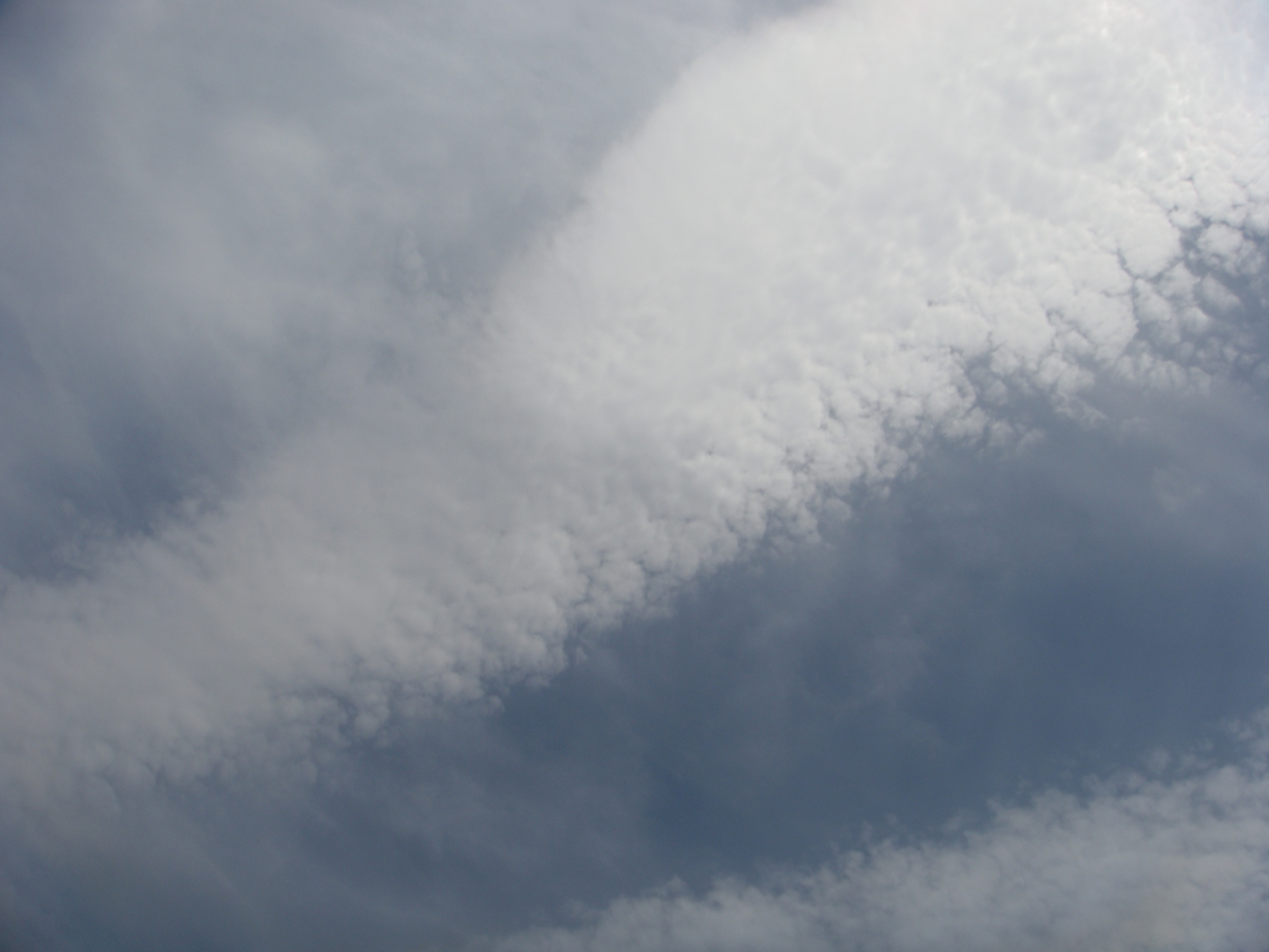 �{���Č����L