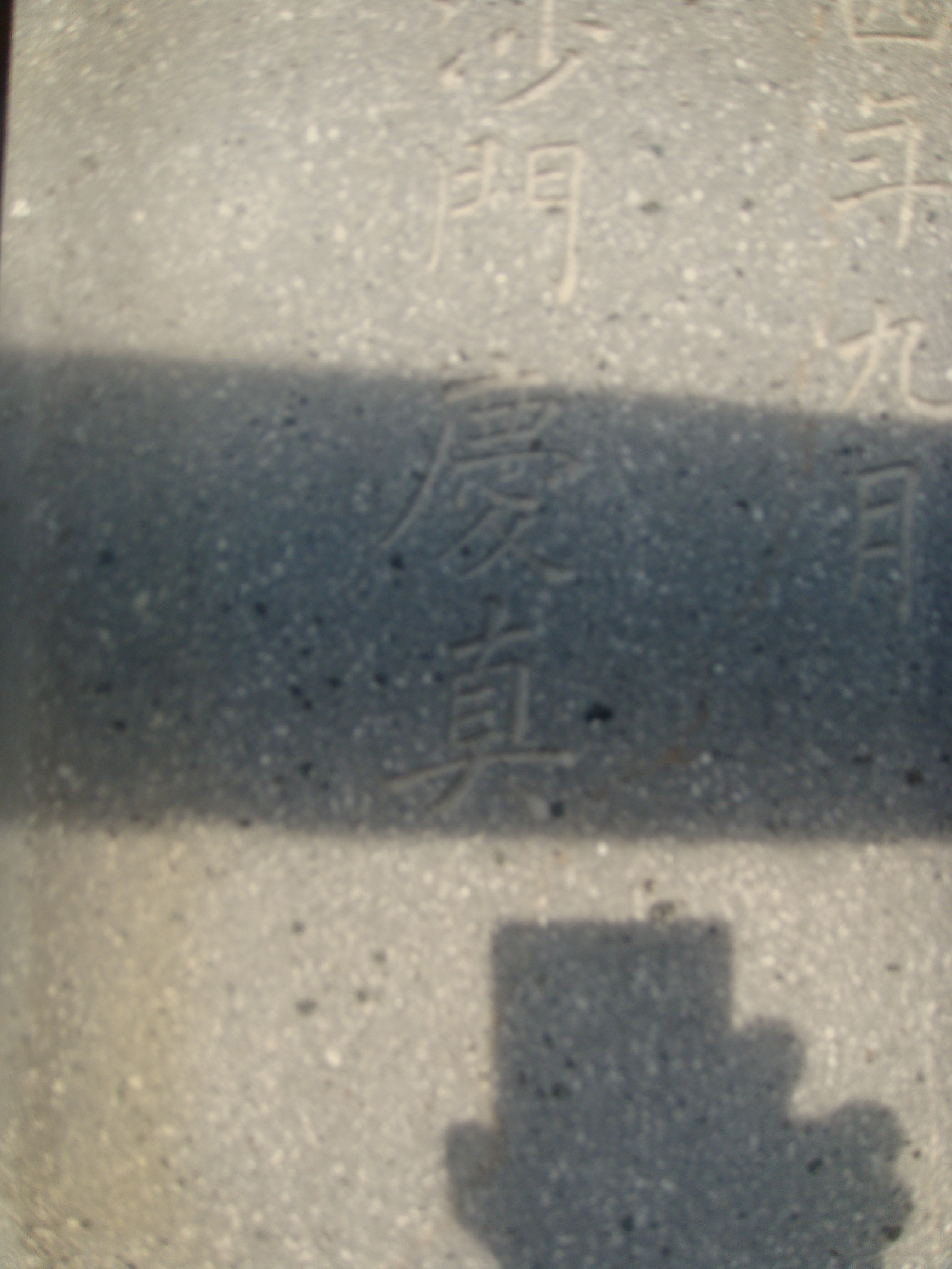 �{���Č����L