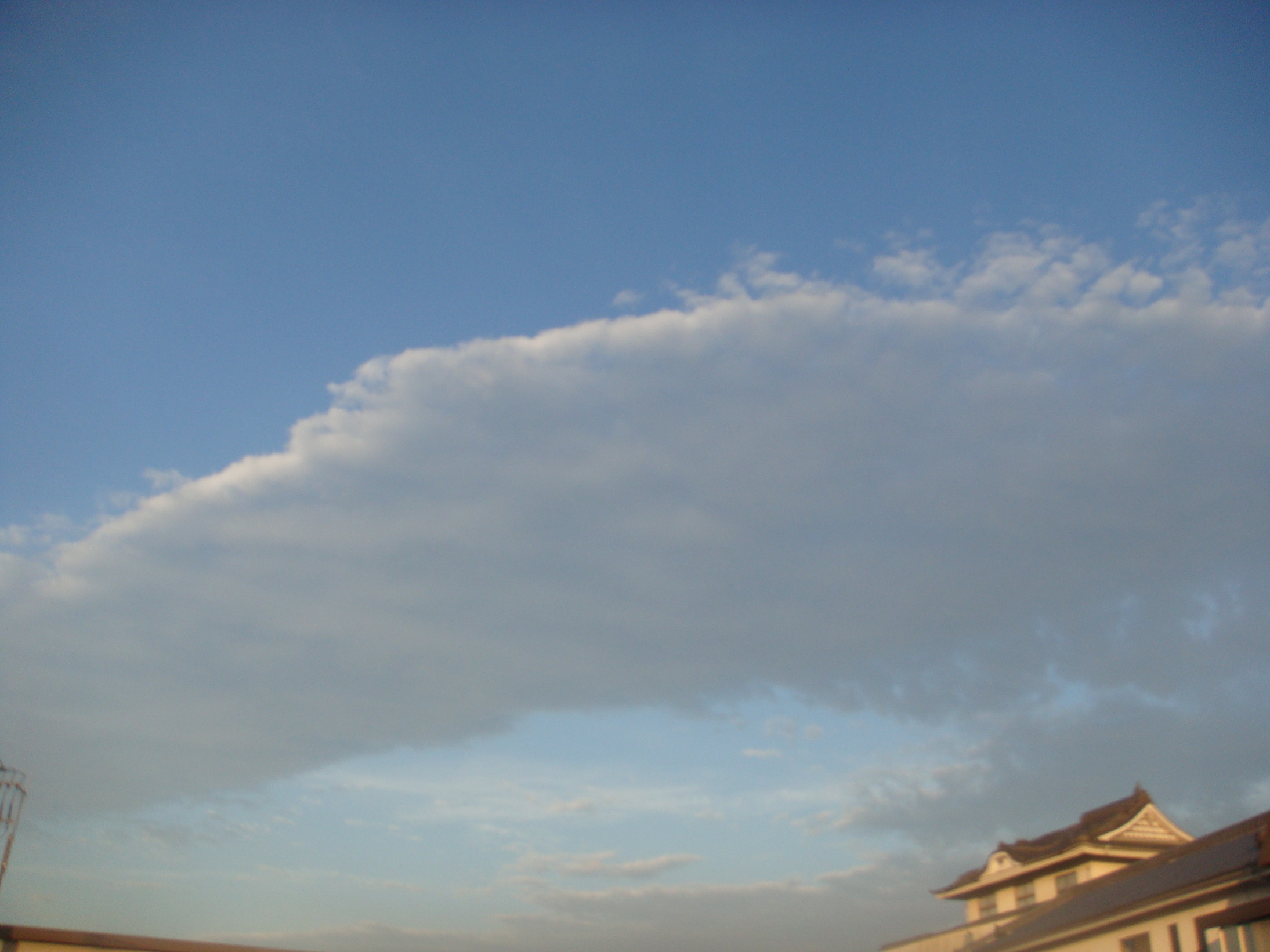 �{���Č����L