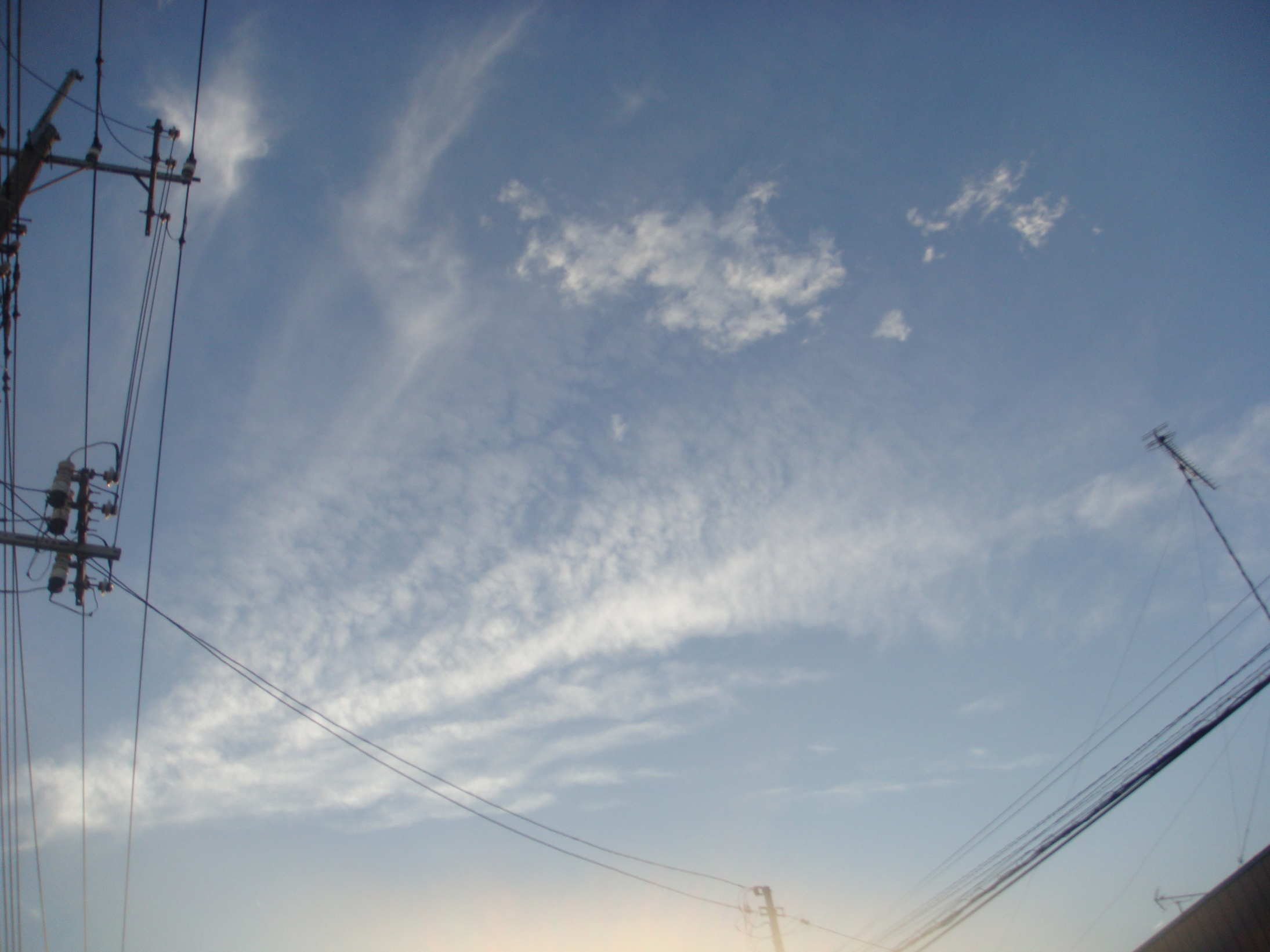 �{���Č����L