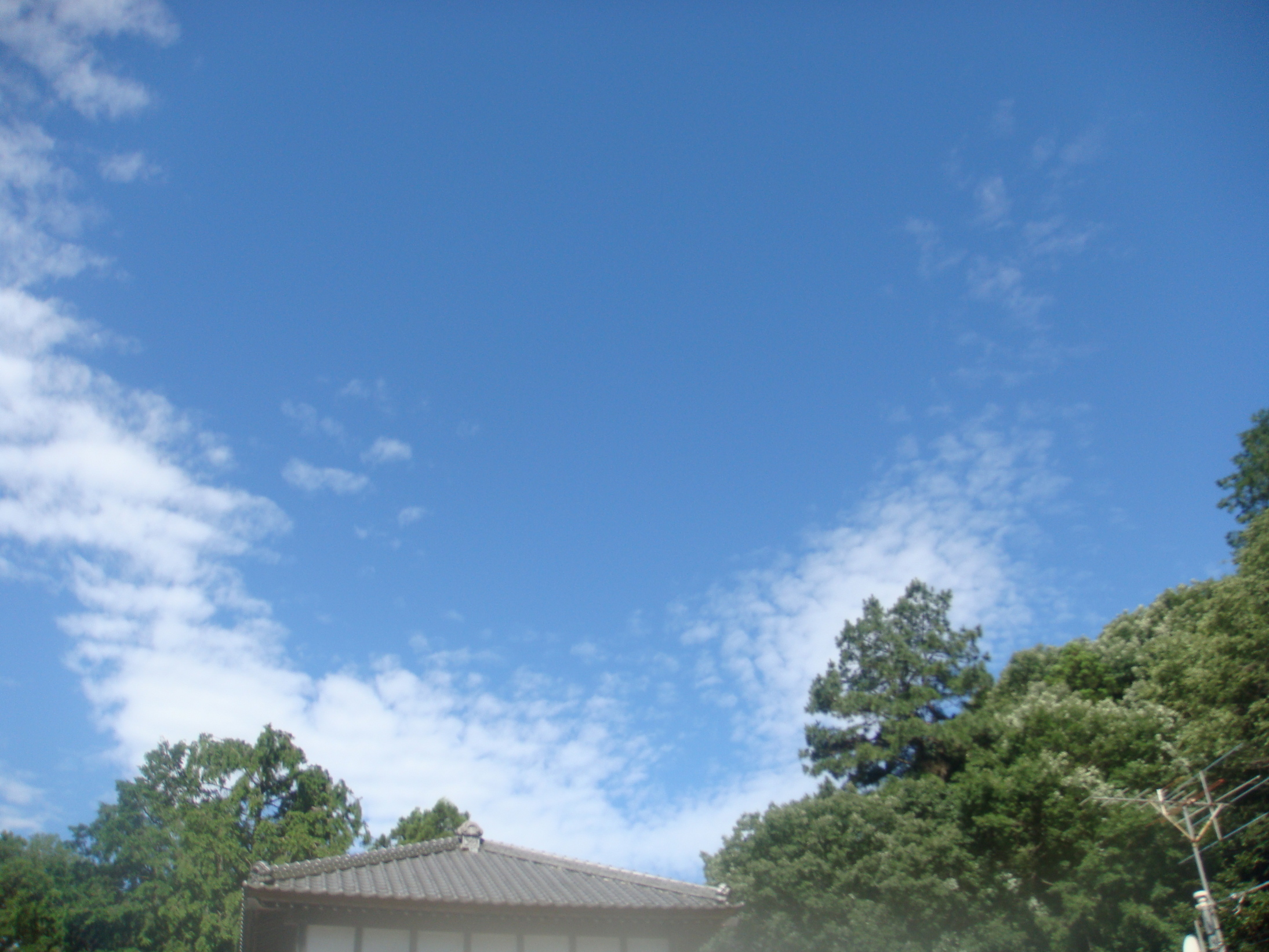 �{���Č����L