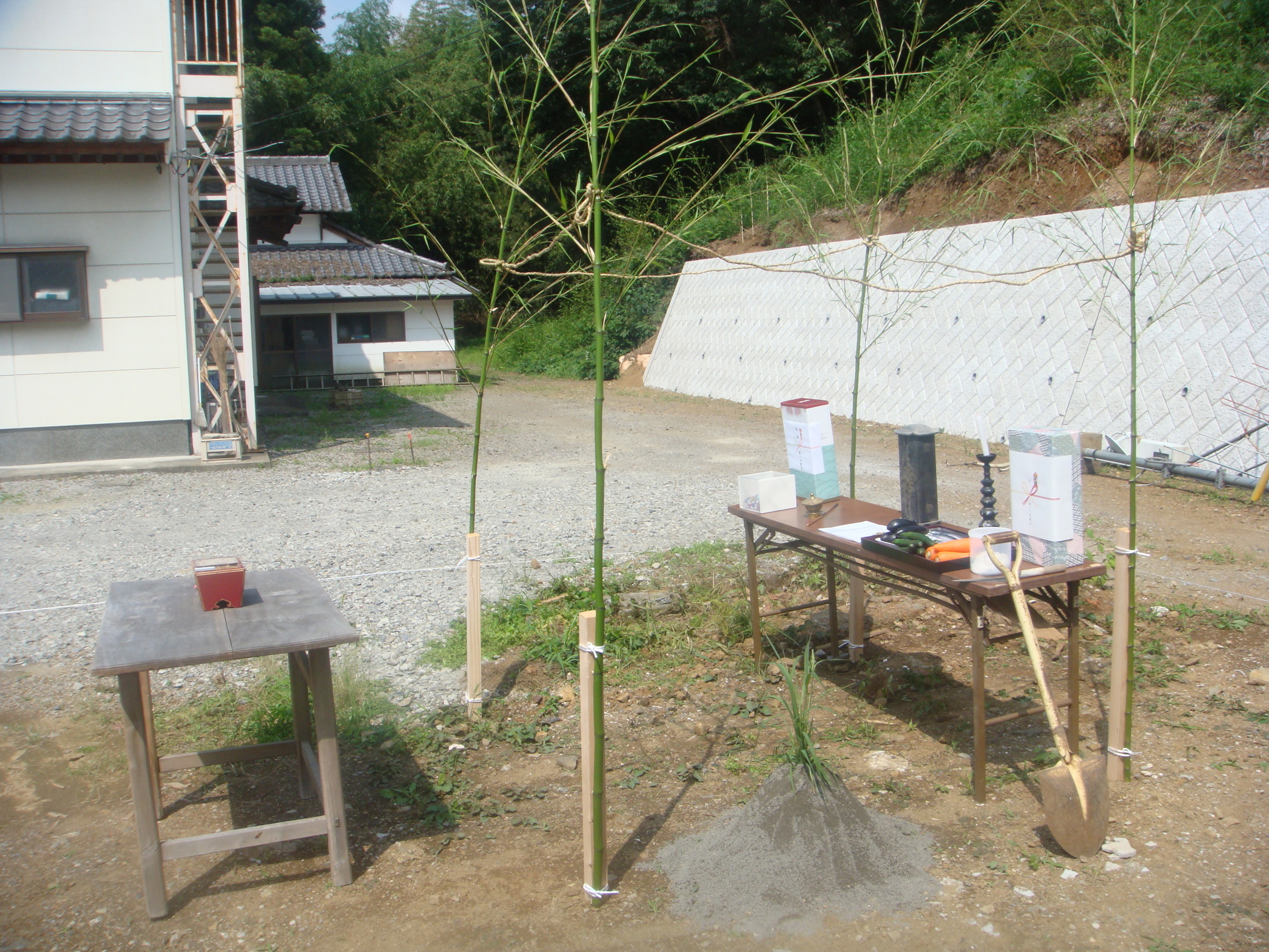 �{���Č����L