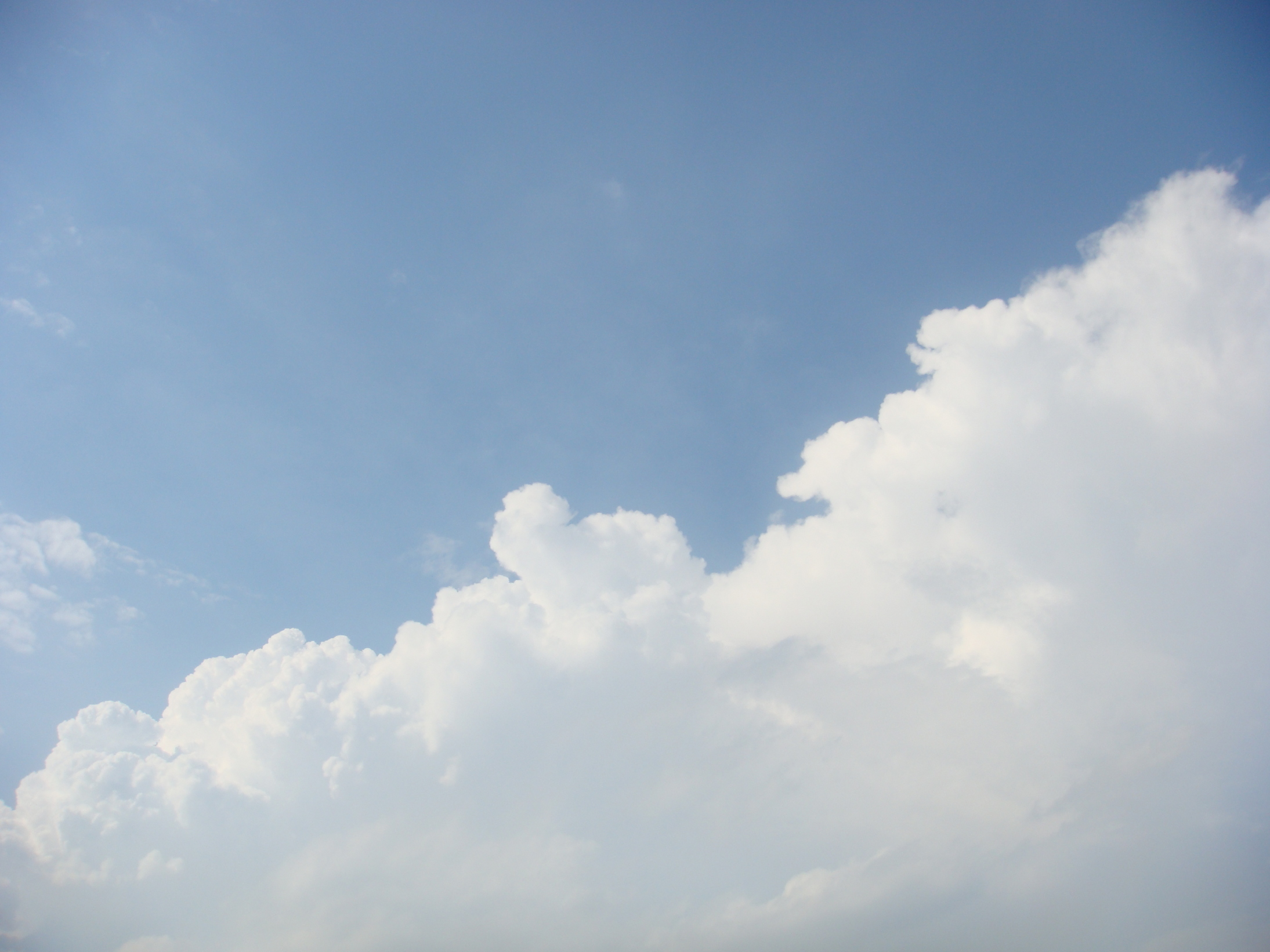 �{���Č����L