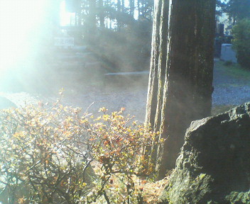 �{���Č����L