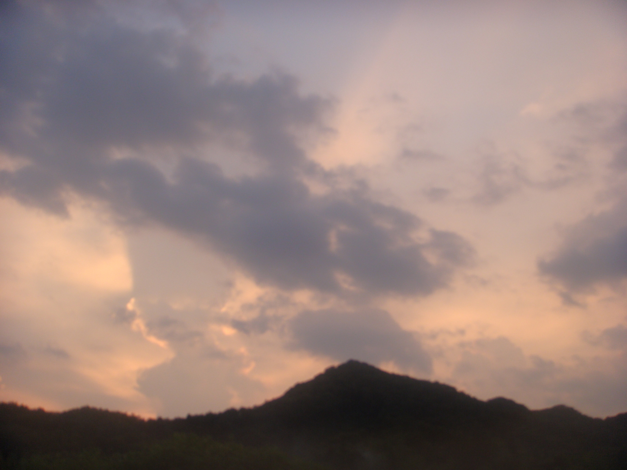 �{���Č����L