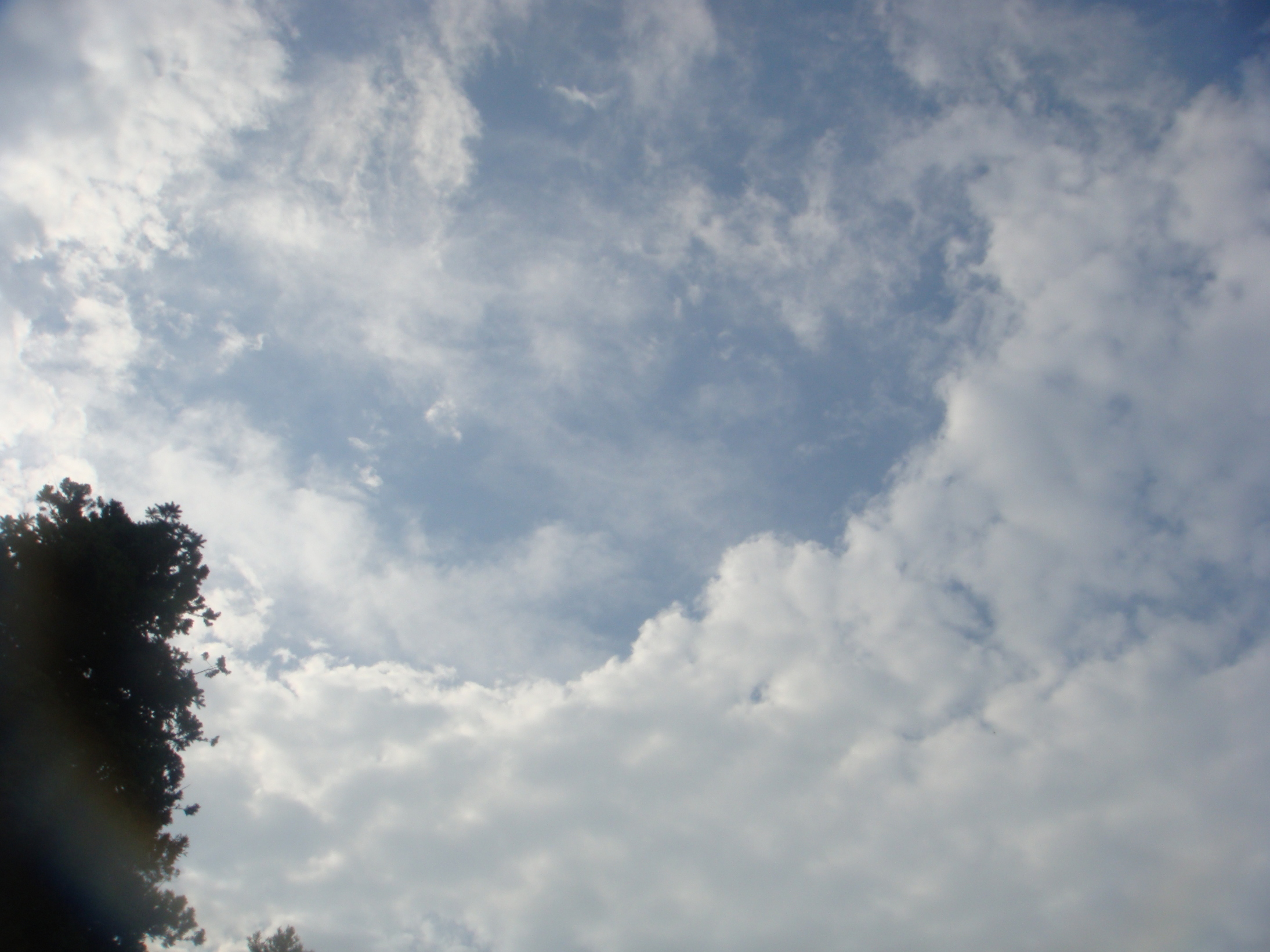 �{���Č����L