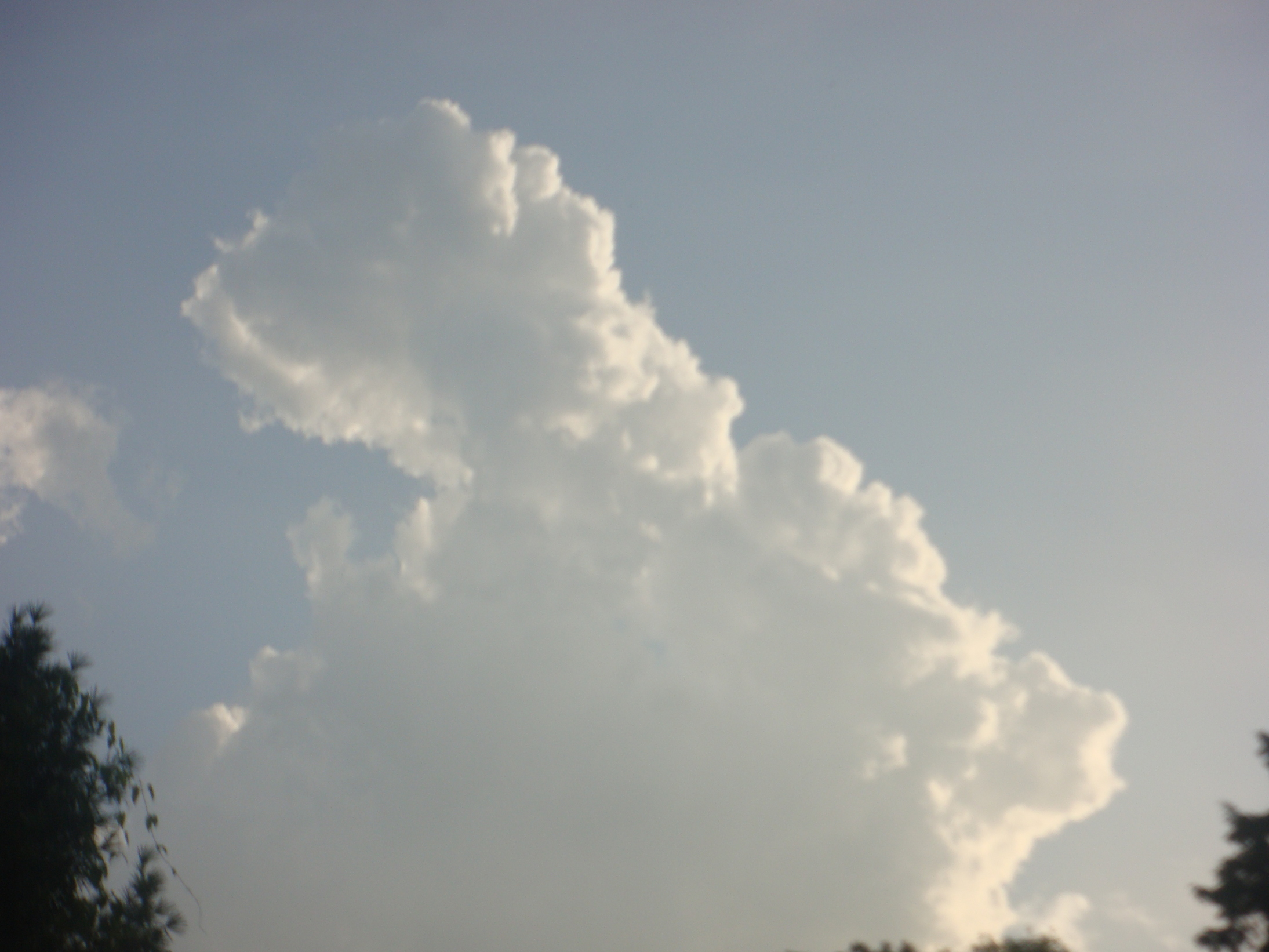 �{���Č����L