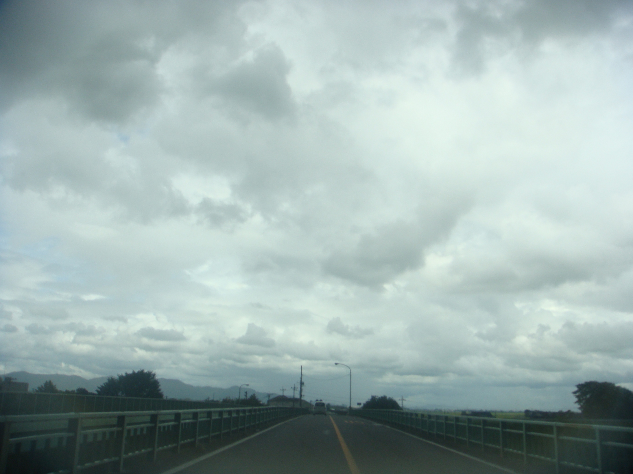 �{���Č����L