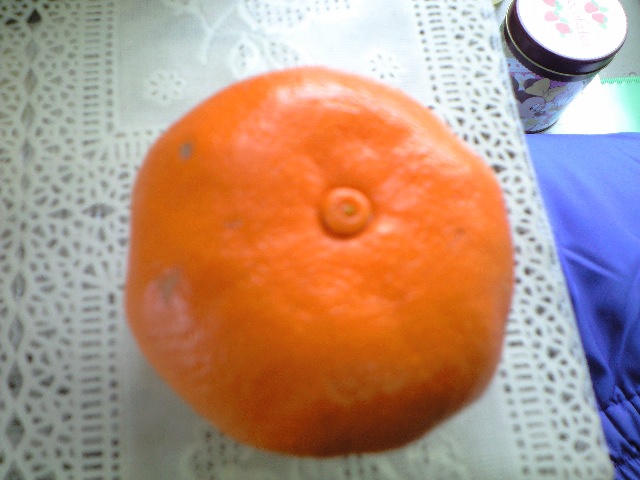 �{�X�Ɩ����Ȓ��ԒB