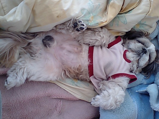 �{�X�Ɩ����Ȓ��ԒB