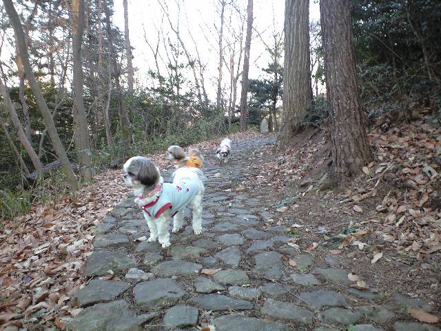 �{�X�Ɩ����Ȓ��ԒB