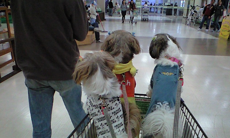 �{�X�Ɩ����Ȓ��ԒB