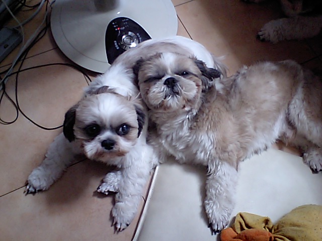 �{�X�Ɩ����Ȓ��ԒB