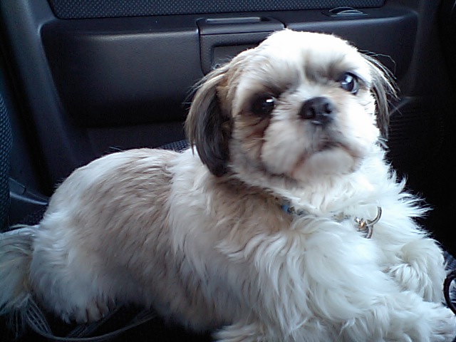 �{�X�Ɩ����Ȓ��ԒB