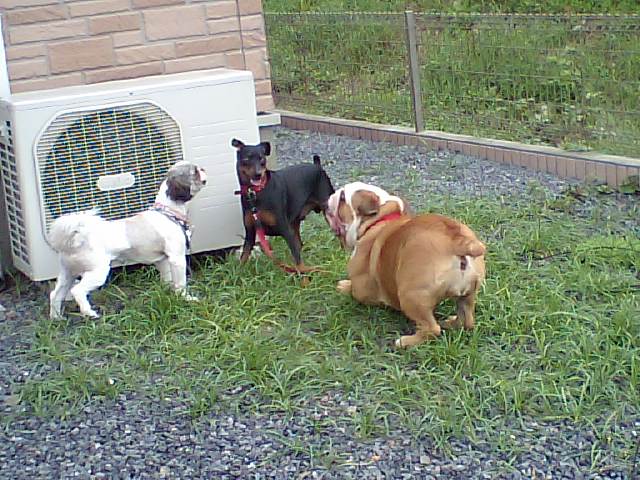 �{�X�Ɩ����Ȓ��ԒB