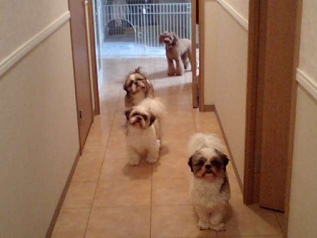 �{�X�Ɩ����Ȓ��ԒB