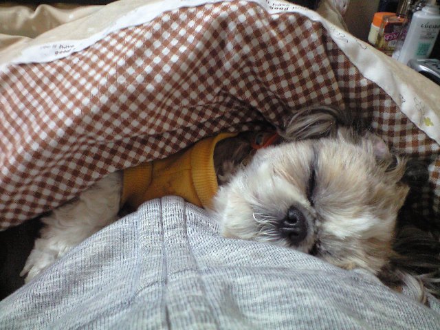 �{�X�Ɩ����Ȓ��ԒB