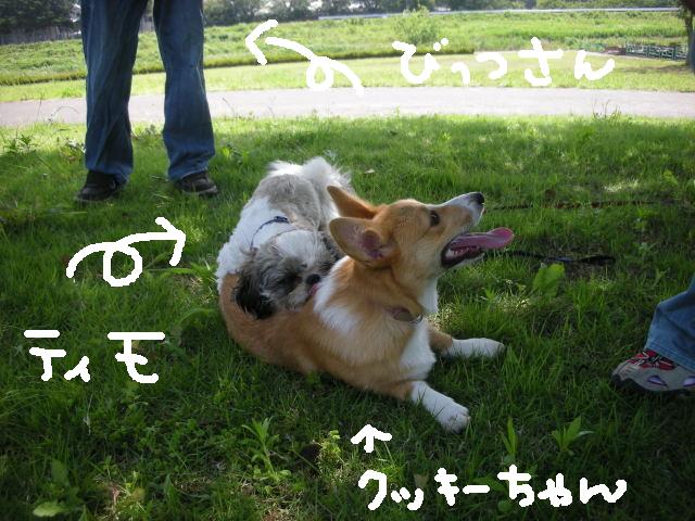 �{�X�Ɩ����Ȓ��ԒB