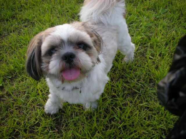 �{�X�Ɩ����Ȓ��ԒB