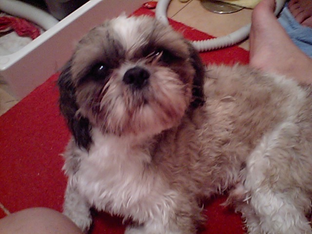 �{�X�Ɩ����Ȓ��ԒB