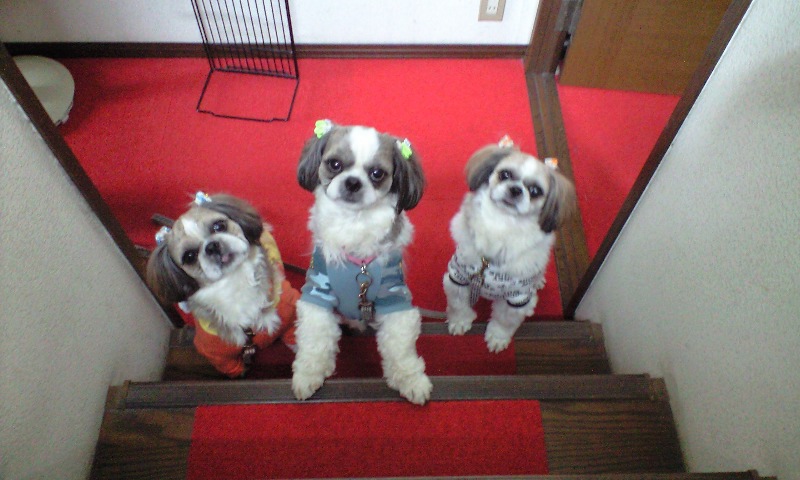 �{�X�Ɩ����Ȓ��ԒB