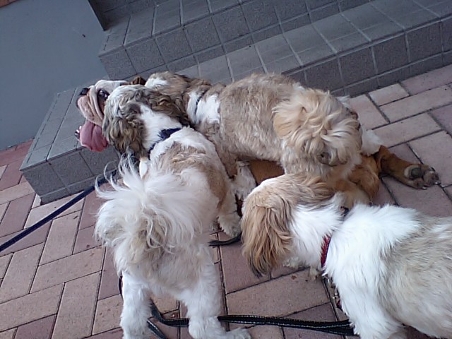 �{�X�Ɩ����Ȓ��ԒB