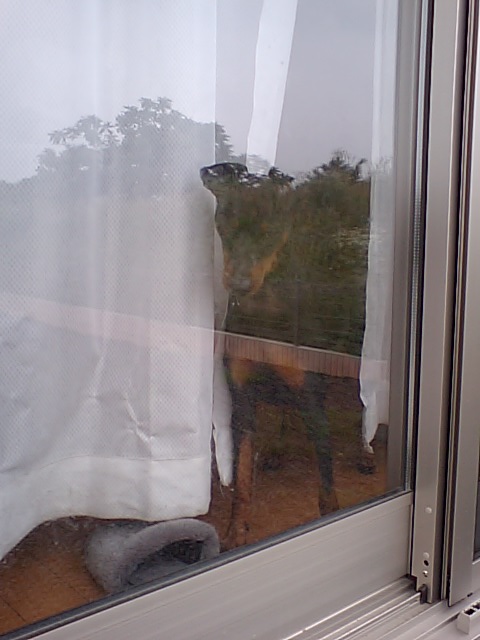 �{�X�Ɩ����Ȓ��ԒB