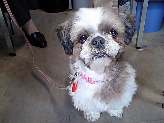 �{�X�Ɩ����Ȓ��ԒB