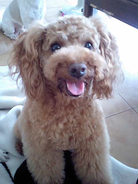 �{�X�Ɩ����Ȓ��ԒB