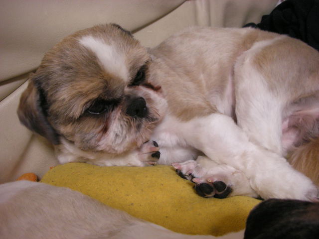 �{�X�Ɩ����Ȓ��ԒB