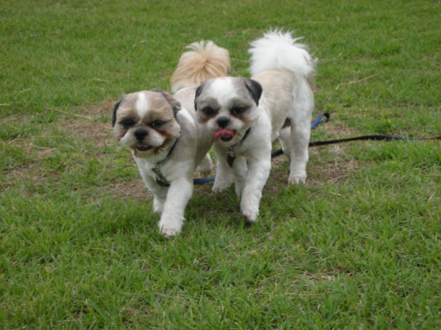 �{�X�Ɩ����Ȓ��ԒB