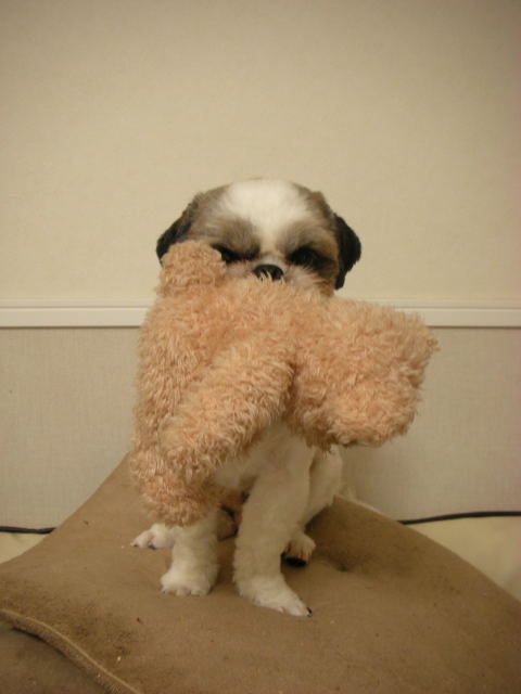 �{�X�Ɩ����Ȓ��ԒB