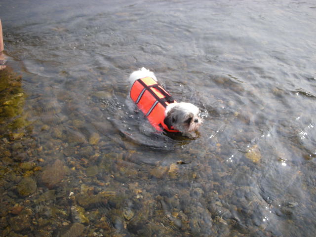 �{�X�Ɩ����Ȓ��ԒB