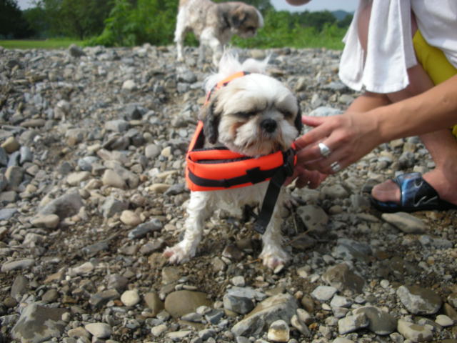 �{�X�Ɩ����Ȓ��ԒB