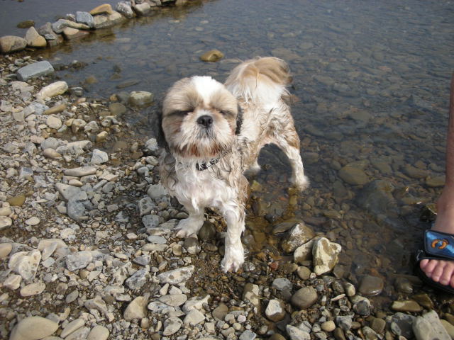 �{�X�Ɩ����Ȓ��ԒB