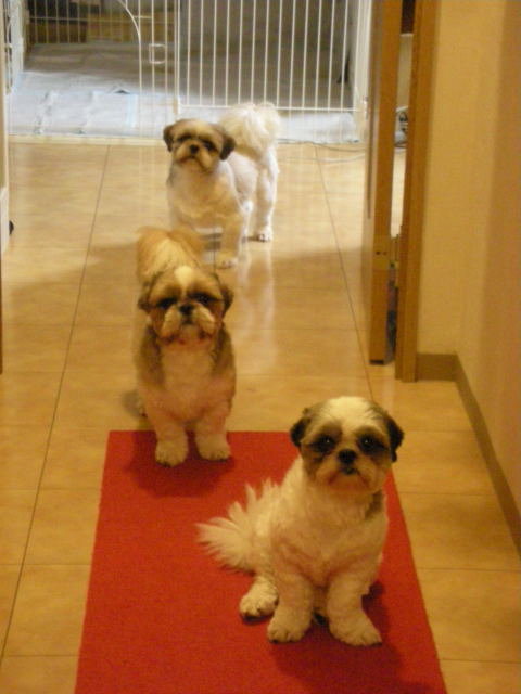 �{�X�Ɩ����Ȓ��ԒB