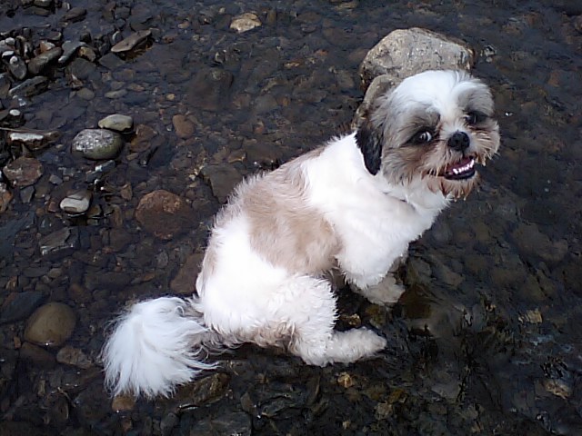 �{�X�Ɩ����Ȓ��ԒB