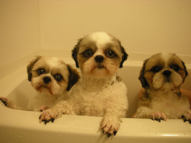 �{�X�Ɩ����Ȓ��ԒB