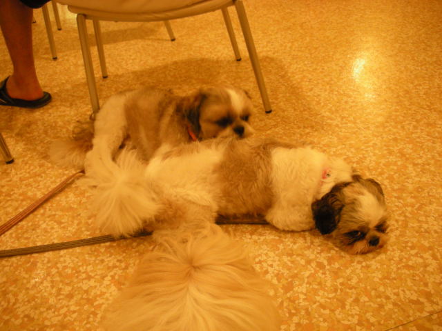 �{�X�Ɩ����Ȓ��ԒB