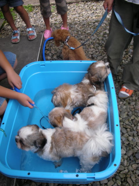 �{�X�Ɩ����Ȓ��ԒB