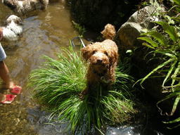 �{�X�Ɩ����Ȓ��ԒB