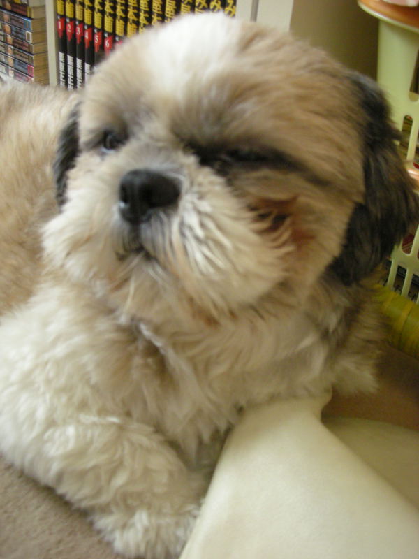 �{�X�Ɩ����Ȓ��ԒB