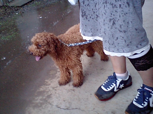 �{�X�Ɩ����Ȓ��ԒB