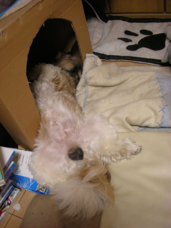 �{�X�Ɩ����Ȓ��ԒB