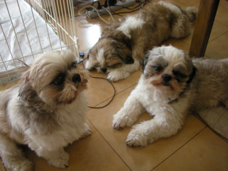 �{�X�Ɩ����Ȓ��ԒB