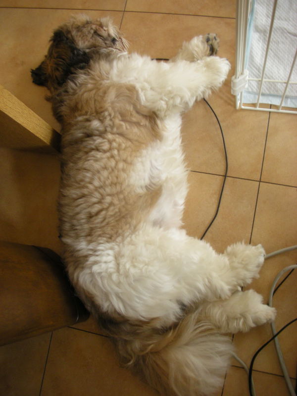 �{�X�Ɩ����Ȓ��ԒB