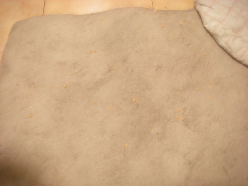 �{�X�Ɩ����Ȓ��ԒB